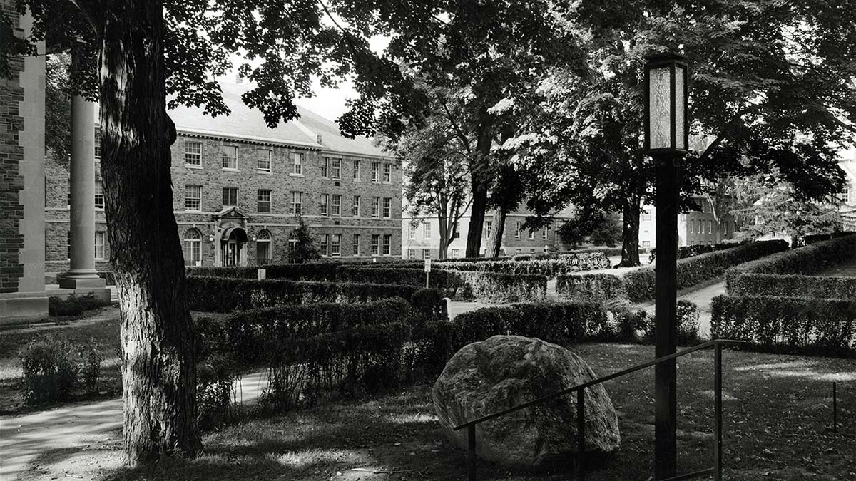 Archival image of the Academic Quadrangle, revealing that it was formerly home to many trees